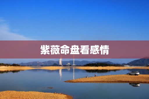 紫薇命盘看感情