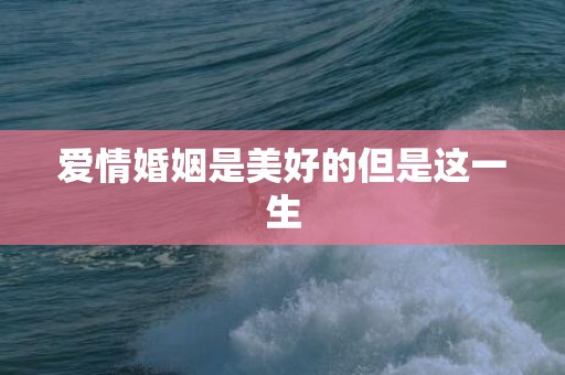 爱情婚姻是美好的但是这一生