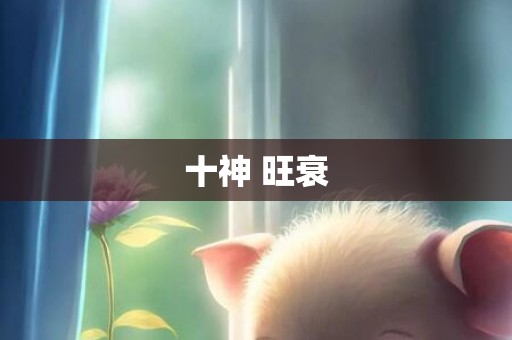 十神 旺衰