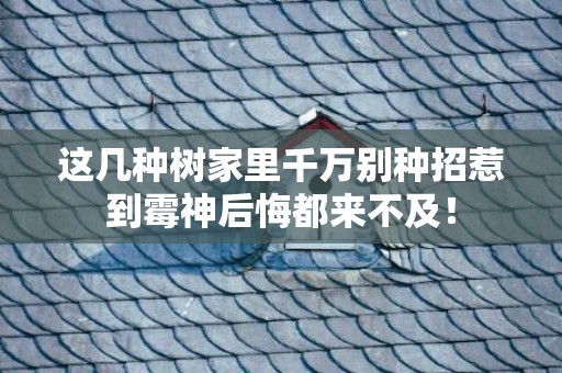 这几种树家里千万别种招惹到霉神后悔都来不及！