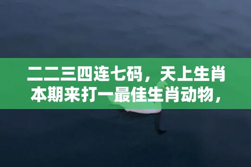 二二三四连七码，天上生肖本期来打一最佳生肖动物，落实词语解释