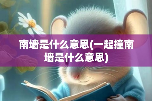 南墙是什么意思(一起撞南墙是什么意思)