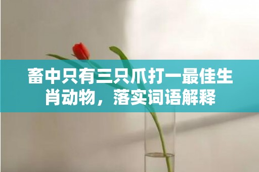 畜中只有三只爪打一最佳生肖动物，落实词语解释