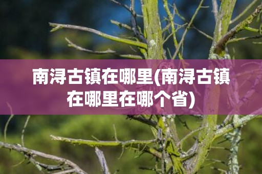 南浔古镇在哪里(南浔古镇在哪里在哪个省)