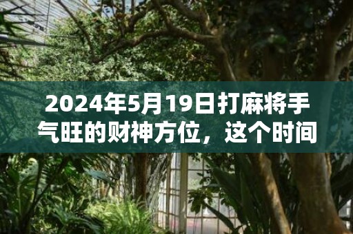 2024年5月19日打麻将手气旺的财神方位，这个时间段是吉日吗