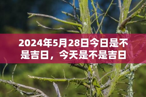 2024年5月28日今日是不是吉日，今天是不是吉日