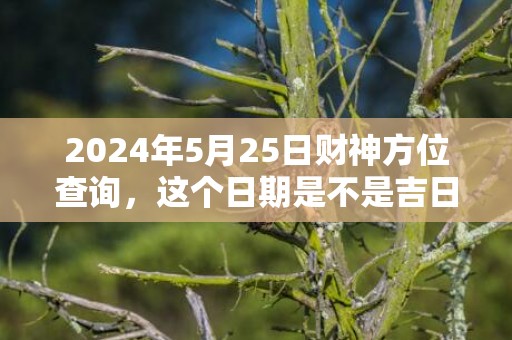 2024年5月25日财神方位查询，这个日期是不是吉日