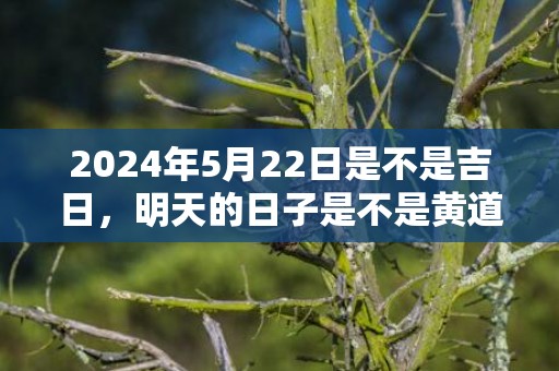 2024年5月22日是不是吉日，明天的日子是不是黄道吉日