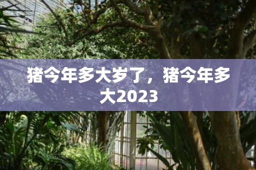 猪今年多大岁了，猪今年多大2023