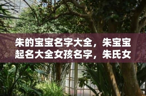 朱的宝宝名字大全，朱宝宝起名大全女孩名字，朱氏女孩起名推荐