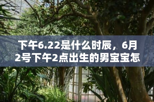 下午6.22是什么时辰，6月2号下午2点出生的男宝宝怎么起名字，用什么字好