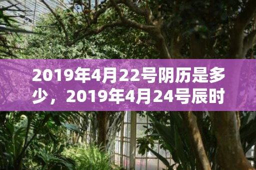2019年4月22号阴历是多少，2019年4月24号辰时出生的男孩起名时要注意什么