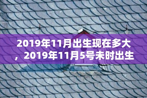 2019年11月出生现在多大，2019年11月5号未时出生的男孩怎么起名字
