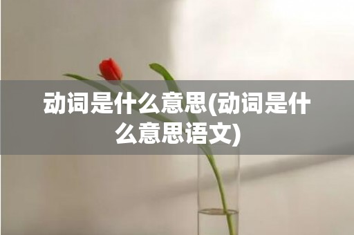动词是什么意思(动词是什么意思语文)