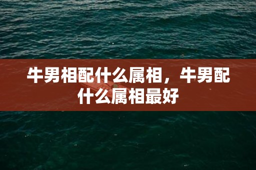 牛男相配什么属相，牛男配什么属相最好