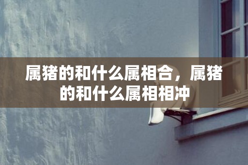 属猪的和什么属相合，属猪的和什么属相相冲