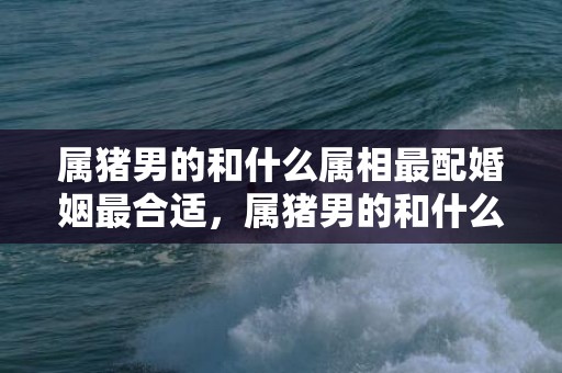 属猪男的和什么属相最配婚姻最合适，属猪男的和什么属相最配婚