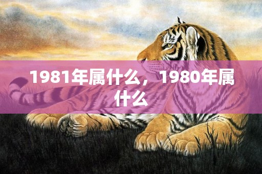 1981年属什么，1980年属什么