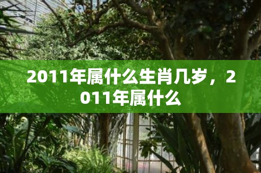 2011年属什么生肖几岁，2011年属什么