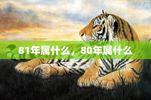 81年属什么，80年属什么