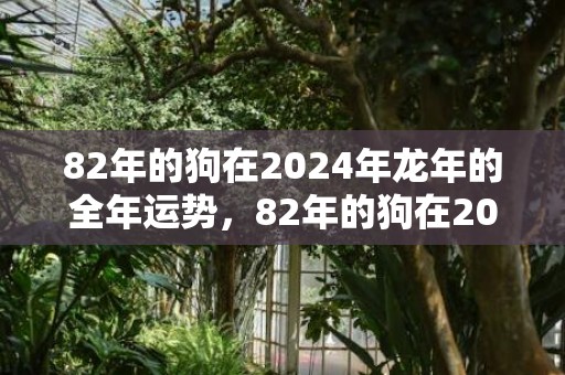 82年的狗在2024年龙年的全年运势，82年的狗在2023年的运势怎么样