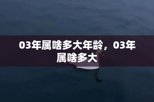 03年属啥多大年龄，03年属啥多大