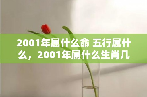 2001年属什么命 五行属什么，2001年属什么生肖几岁