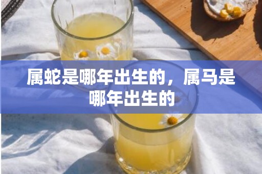 属蛇是哪年出生的，属马是哪年出生的