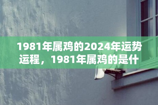 1981年属鸡的2024年运势运程，1981年属鸡的是什么命