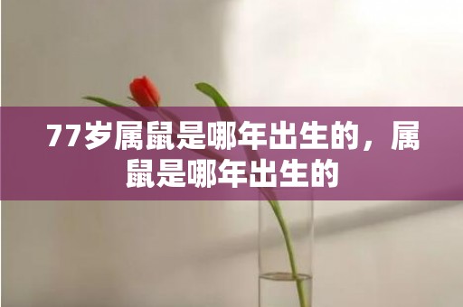 77岁属鼠是哪年出生的，属鼠是哪年出生的