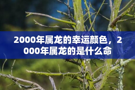 2000年属龙的幸运颜色，2000年属龙的是什么命