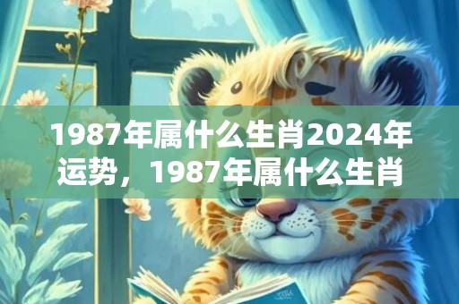 1987年属什么生肖2024年运势，1987年属什么生肖
