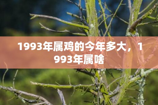 1993年属鸡的今年多大，1993年属啥