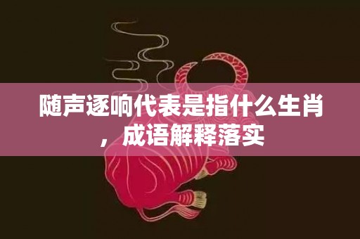 随声逐响代表是指什么生肖，成语解释落实