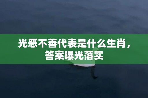 光恶不善代表是什么生肖，答案曝光落实
