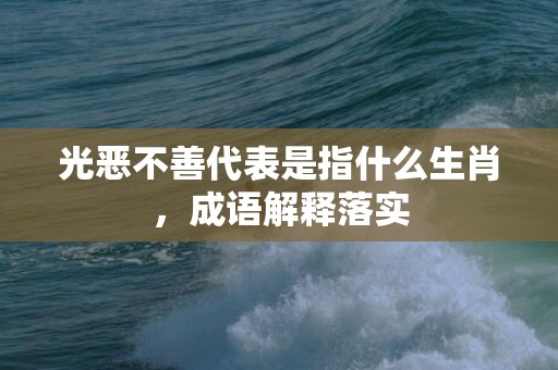 光恶不善代表是指什么生肖，成语解释落实