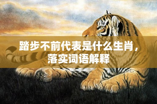 踏步不前代表是什么生肖，落实词语解释