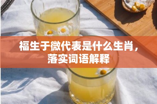 福生于微代表是什么生肖，落实词语解释