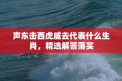 声东击西虎威去代表什么生肖，精选解答落实