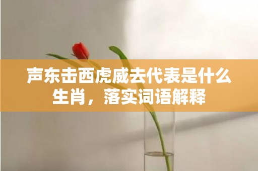 声东击西虎威去代表是什么生肖，落实词语解释