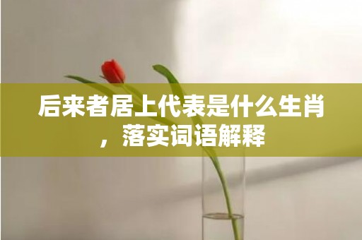 后来者居上代表是什么生肖，落实词语解释