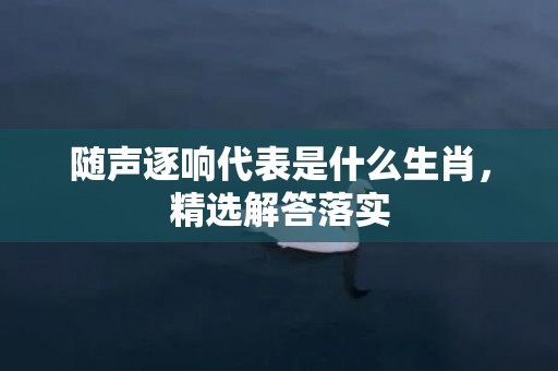 随声逐响代表是什么生肖，精选解答落实