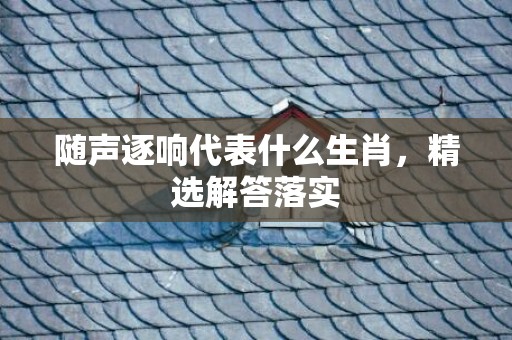 随声逐响代表什么生肖，精选解答落实