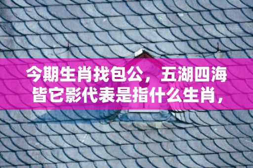 今期生肖找包公，五湖四海皆它影代表是指什么生肖，成语解释落实