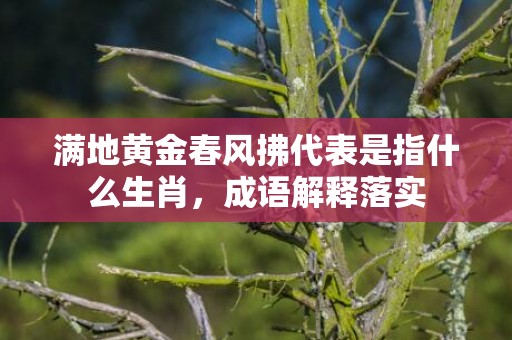 满地黄金春风拂代表是指什么生肖，成语解释落实