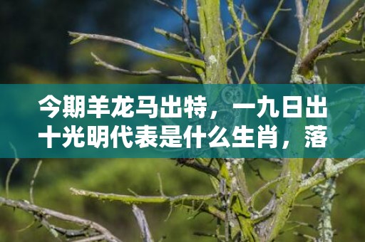 今期羊龙马出特，一九日出十光明代表是什么生肖，落实词语解释
