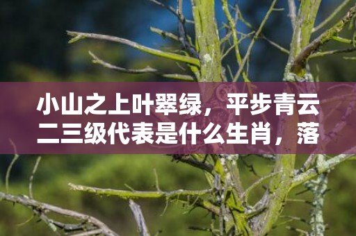 小山之上叶翠绿，平步青云二三级代表是什么生肖，落实词语解释