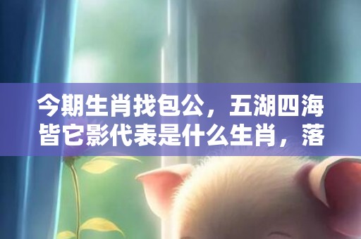 今期生肖找包公，五湖四海皆它影代表是什么生肖，落实词语解释