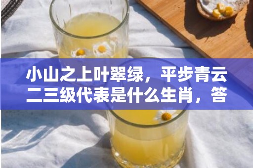 小山之上叶翠绿，平步青云二三级代表是什么生肖，答案曝光落实