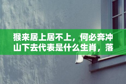 猴来居上居不上，何必奔冲山下去代表是什么生肖，落实词语解释